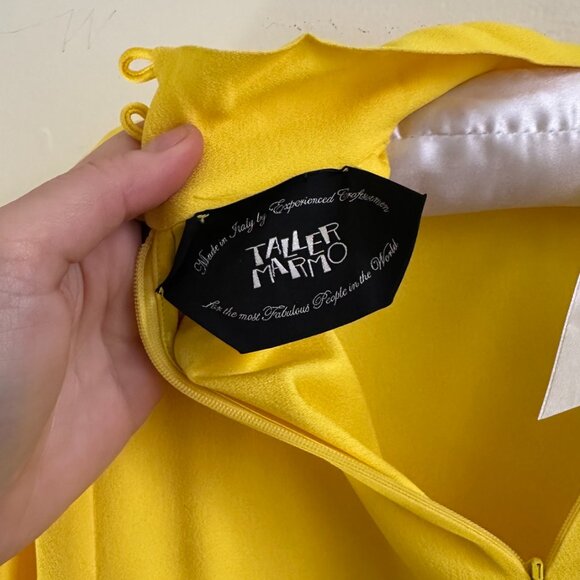 Taller Mamo Canary Yellow Dress w/ Feather Sleeves - Picture 9 of 10